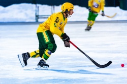  В столице Поморья пройдет областной турнир по хоккею с мячом