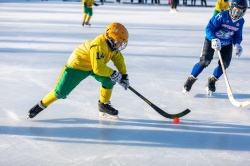 Юношеские команды «Водник» - победители фестиваля зимних видов спорта «Юный динамовец