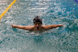 Юные пловцы Архангельской области выявили сильнейших